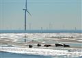 Gone with the wind farms – Six of the world’s top offshore arrays in pictures